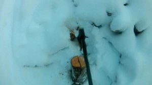 Долгожданные дрова, колун "Вихрь" в деле и обо всем понемногу.