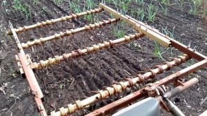 Пружинная борона по чесноку