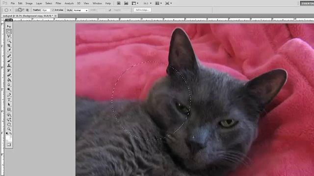 photoshop selection tools 005 select perfect square and circle смотреть онлайн