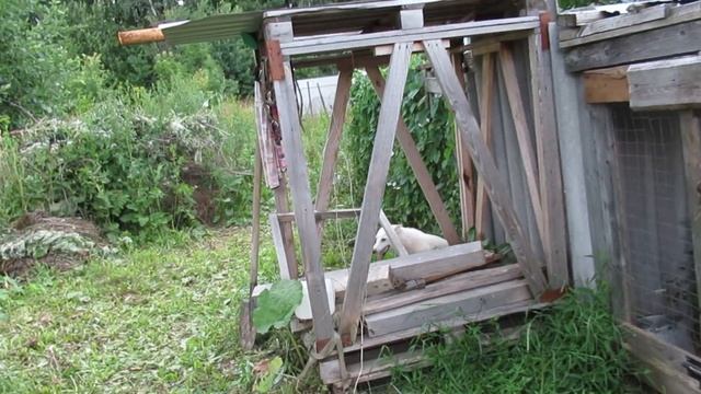 Ханта сбежала из дома смотреть онлайн