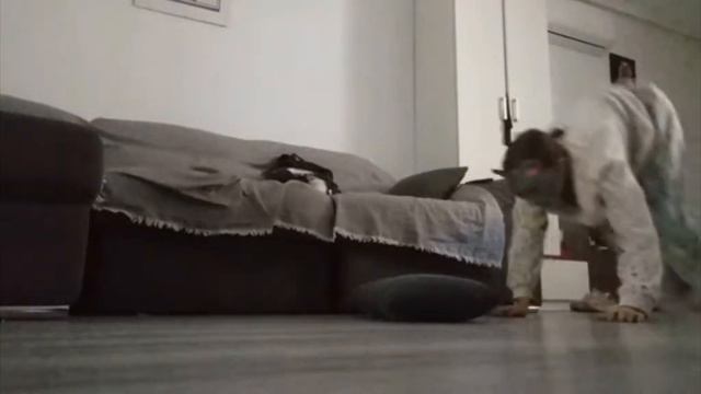 💗 привет ребята сегодня я вас научу высоким прыжкам и как их делать 💗 смотреть онлайн