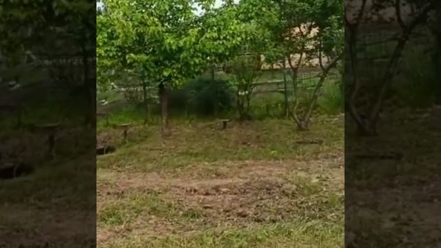 Строительство забора из профнастила.mp4