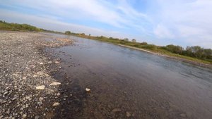 Осенняя РЫБАЛКА на БОМБАРДУ, вода КИПИТ!!! ХАРИУС на КАЖДОМ ЗАБРОСЕ, да ЕГО тут МОРЕ?!!!