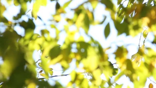 Morning After - Сквозь ледяную ночь весна (piano edit) смотреть онлайн