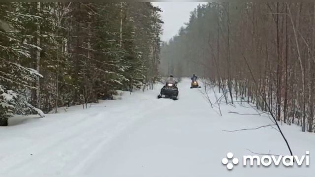 Отличная прогулка в снегопад смотреть онлайн