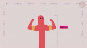 Удивительные свойства хлопка