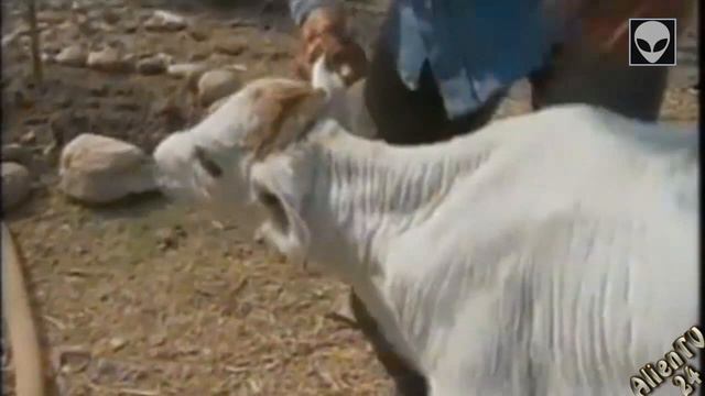 ПРАВДА об НЛО (серия 5 часть 3) смотреть онлайн