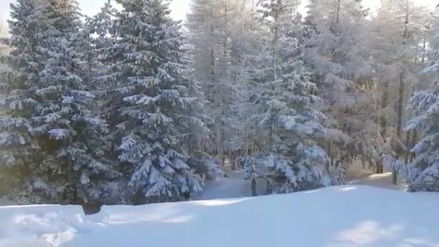 сноу хавк в Златоусте смотреть онлайн