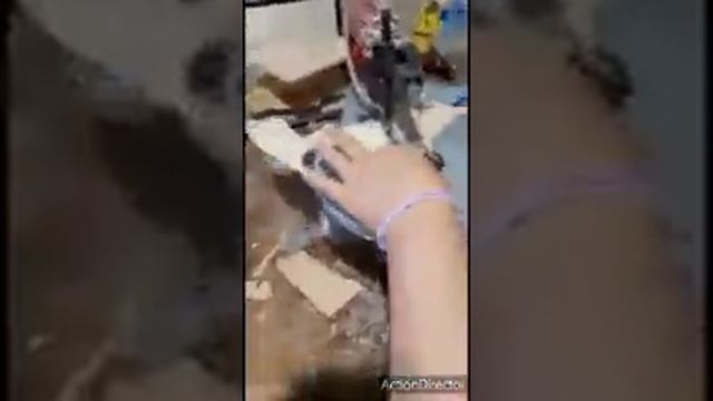 #ballerina #legno #centrotavola смотреть онлайн