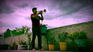 No hay nadie más - Sebastian Yatra (cover trumpet) 🎺 #sebastianyatra #nohaynadiemas