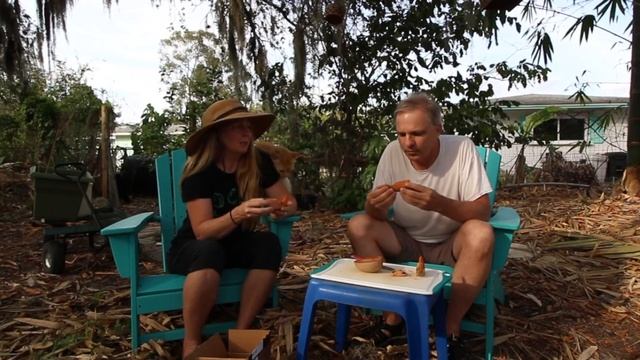 Thomas Sapodilla - Tasting Florida Grown Sapodilla Fruit смотреть онлайн