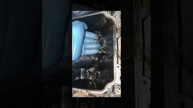 Daño frecuente de la cr5 смотреть онлайн