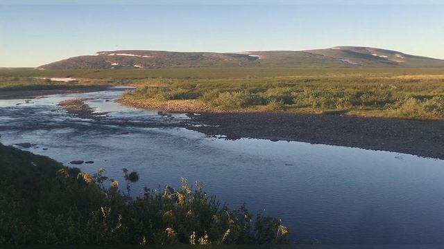 Тундра / Река / Янганя-пэ смотреть онлайн