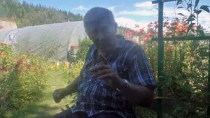 Как правильно установить теплицу