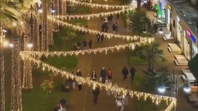Предновогодний Сочи. Красиво и тепло / Переезжайте на юг с агентством недвижимости Мечты у моря