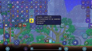 Гайд на красители в Terraria