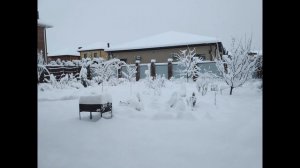 ВСЕ В КУЧУ. НЕУДАВШИЙСЯ ВЫПУСК. ВО ВСЕМ ВИНОВАТА САМИ ЗНАЕТЕ КТО