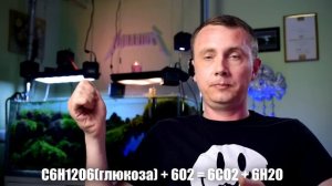 Аэрация в аквариуме травнике и подача СО2 ночью