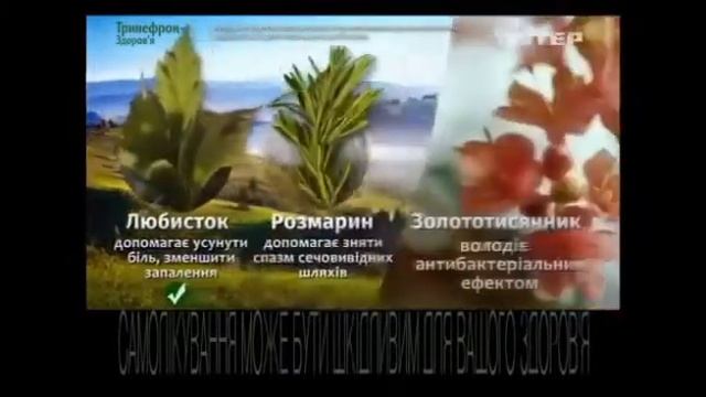 Тринефрон с 15 версия смотреть онлайн