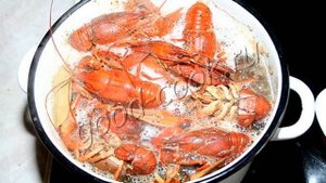 Вареные раки. Рецепт приготовления