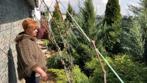 ЗАЧЕМ ПОДКАРМЛИВАЮТ  ХВОЙНЫЕ РАСТЕНИЯ??? ВЕСЕННИЕ РАБОТЫ НА ДАЧЕ