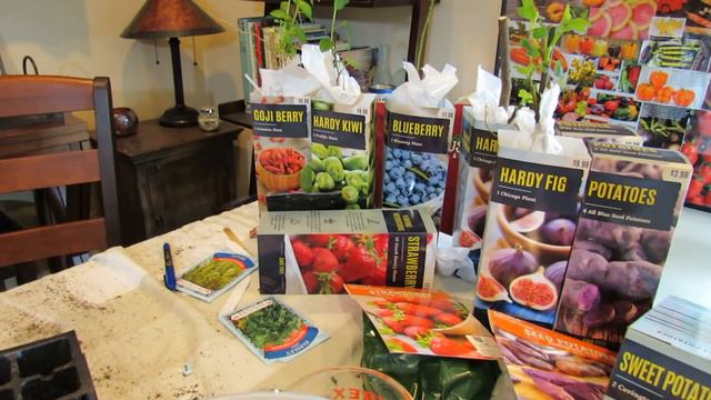 Vegetable Garden Tour  Tips 22218: Herb Progress Pepper Germination Growing Greens Acclimatio