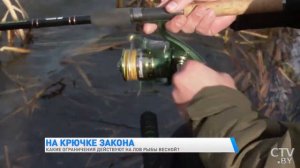 Какие ограничения на лов рыбы действуют весной в Беларуси
