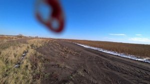 Охота на фазана с мр-155 В Амурской области. Итоги РОЗЫГРЫША.