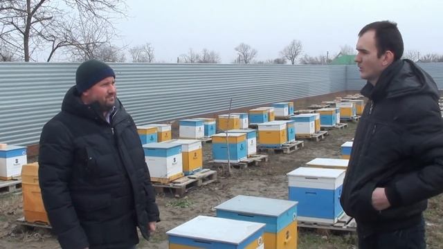 Производство и эксплуатация ППУ ульев на пасеке нашего подписчика смотреть онлайн