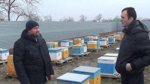 Производство и эксплуатация  ППУ ульев на пасеке нашего подписчика