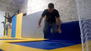 Поскакали!