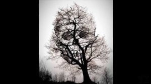 30 загадочно страшных фотографий