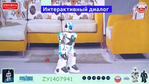 РУССКИЕ ИГРУШКИ ZHORYA TOYS 【ZABAVKA】ZY1407941 ZYI-I0020