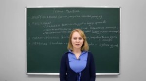 Анатомия и физиология человека: Основные типы тканей человека. Центр онлайн-обучения «Фоксфорд»