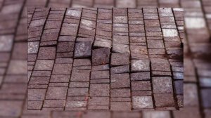 БЮДЖЕТНЫЙ САД НА УЧАСТКЕ. Планировка, выбор растений и материалов. На чем можно СЭКОНОМИТЬ?