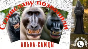 Станиславу позвонили альфасамцы!