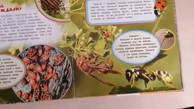 Самая первая детская энциклопедия 