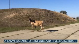 Экскурсия по Павлограду