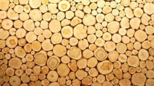 Дровяная печь в сауне - участие в передаче "Дачный ответ"