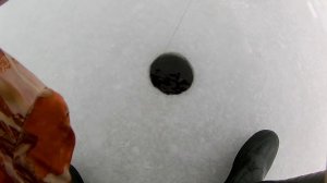 КРУПНАЯ ЩУКА НА ЖЕРЛИЦЫ. Ловля крупной щуки зимой. Бешеный клёв щуки на жерлицы / Щука зимой.