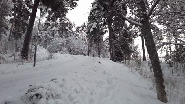 Winter Walk in the Suburbs of Espoo, Finland - Snowy Afternoon in Kivenlahti смотреть онлайн