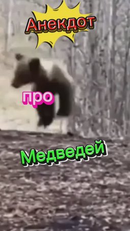 Анекдот про Медведей??????