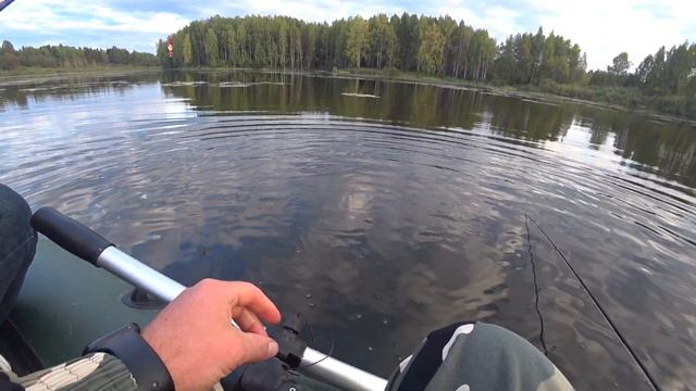 Жена впервые взяла в руки спиннинг и сразу трофей! Утёрла мне нос! смотреть онлайн