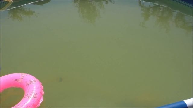 Как очистить воду в бассейне от железа без химии быстро и недорого смотреть онлайн