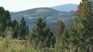 О молитве Иисусовой, архиепископ Антоний Михайловский