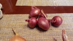 Наш семейный лук и яровой чеснок .