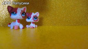 LPS котята / Обзор моих ЛПС котят