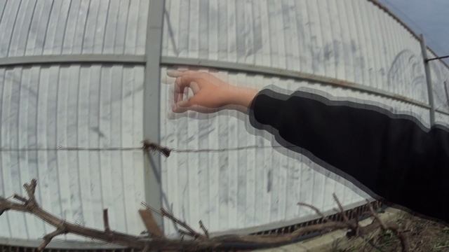 СОВЕТ КРАСНОДАРЦА О ГЕНИАЛЬНОМ ФОРМИРОВАНИИ ВИНОГРАДНОГО КУСТА смотреть онлайн