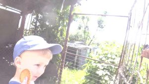 Поездка к Бабуле в Зуевку / Путешествие в Солнцевский район Курской области.