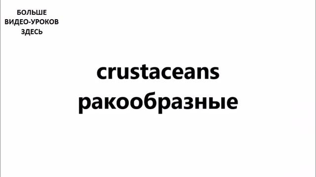 АНГЛИЙСКИЙ ЯЗЫК. СЛОВАРЬ ПО ТЕМАМ. ПРОДУКТЫ. Часть №2 смотреть онлайн